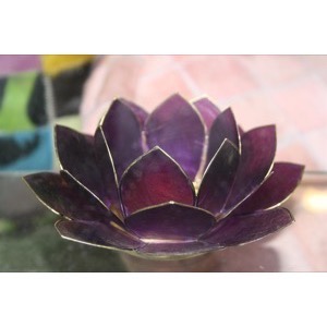Lotus Blomst Blue Violet