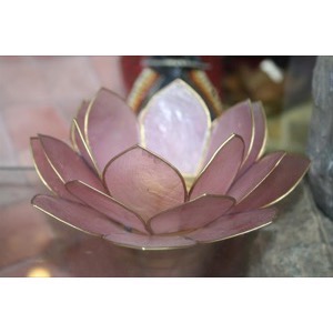 Lotus Blomst Light Purple
