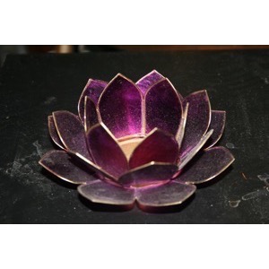 Lotus Blomst Festival Fuchsia