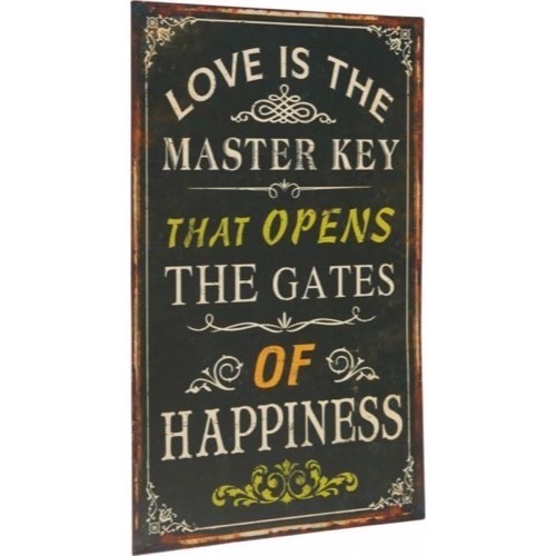 Metal skilt 33x56cm Love Is The Master Key That Opens The Gates Of Happiness - Se flere Metal skilte