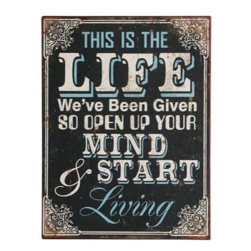 Metal skilt 27x35cm This Is The Life...