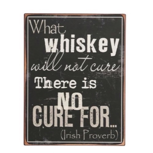 Metal skilt 31x39cm What Whiskey Will Not Cure - There Is No Cure For - Se flere Metal skilte