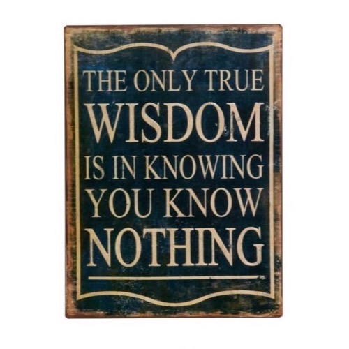 Metal skilt 26x35cm The Only True Wisdom Is In Knowing You Know Nothing