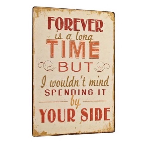 Metal skilt Forever Is A Long Time...26x35cm