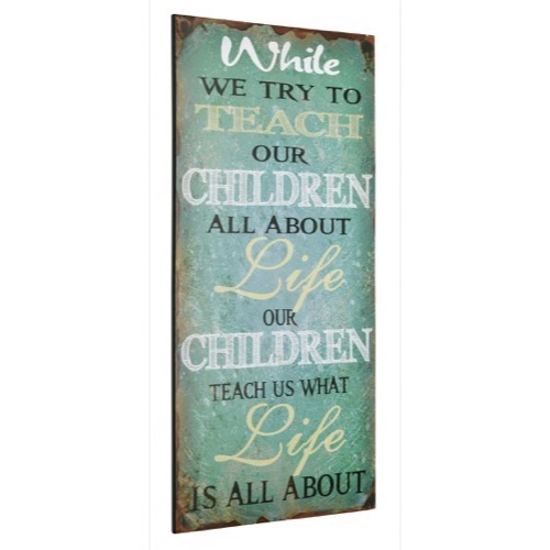 Metal skilt 30x60x0,7cm While We Try To Teach Our Children - Se metal skilte og spejle