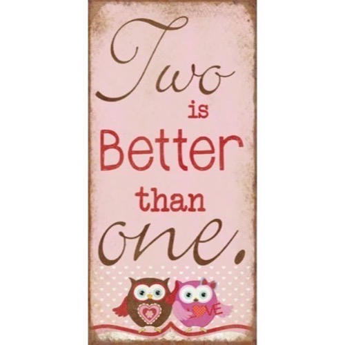 Magnet skilt 5x10cm Two Is Better Than One