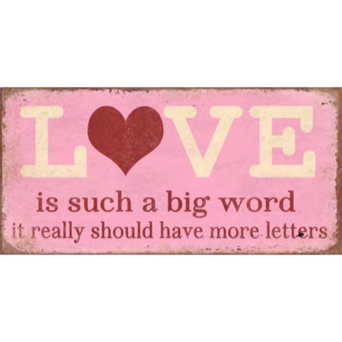 Magnet skilt 10x5cm Love Is Such A Big Word - Se flere Magnete og Spejler