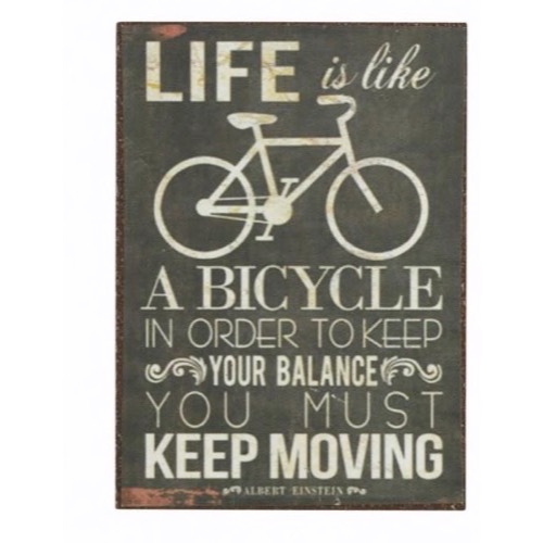 Magnet 5x7cm Life Is Like A Bicycle