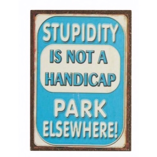 Stupidity Is Not A Handicap - magnet 5x7cm