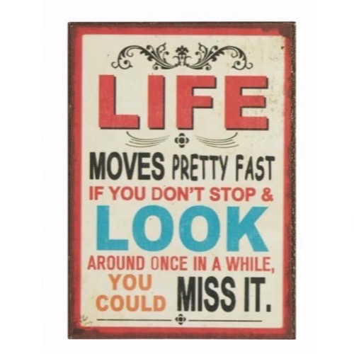 Magnet 5x7cm Life Moves Pretty Fast