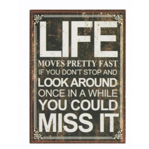 Magnet 5x7cm Life Moves Pretty Fast