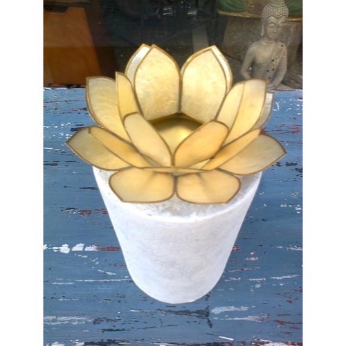 Lotus blomster Off White - se flere Lotus blomster